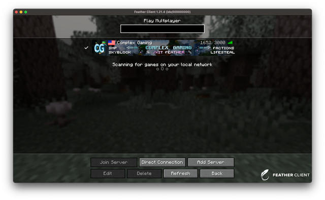 A custom background image displayed behind a server entry in Feather's server list.